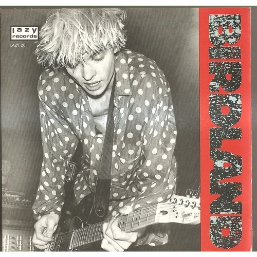  rock ' n' roll nigger 