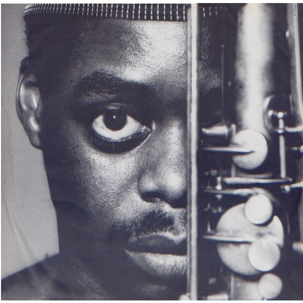 Destiny's song and the image of pursuance by Courtney Pine, LP with ...