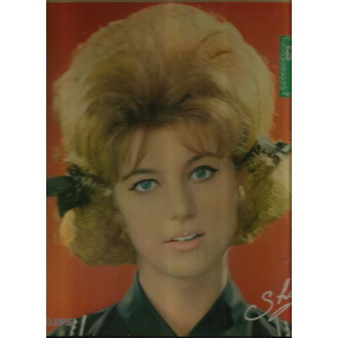  le sifflet des copains 