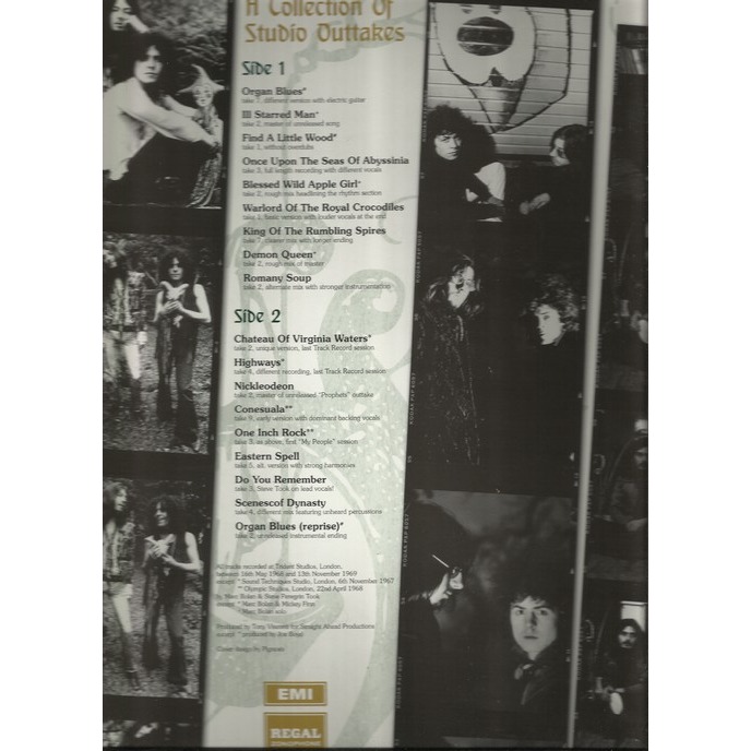  tyrannosaurus rex  -  in the hall of faeire 