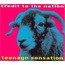 CREDIT TO THE NATION - teenage sensation - CD single