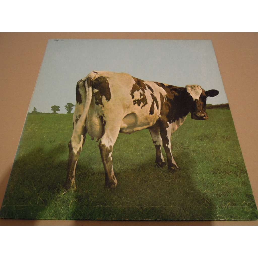 pink floyd atom heart mother meaning