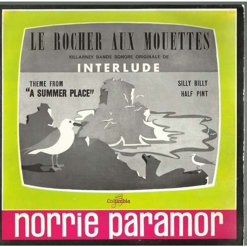  killarney le rocher aux mouettes 