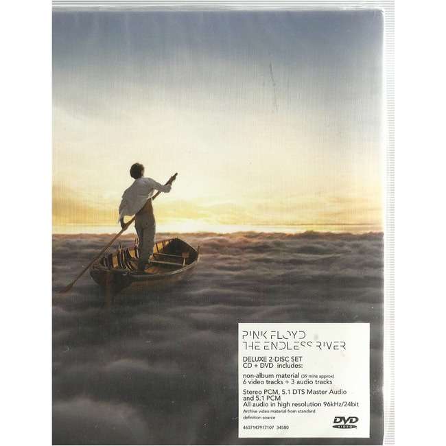  the endless river 