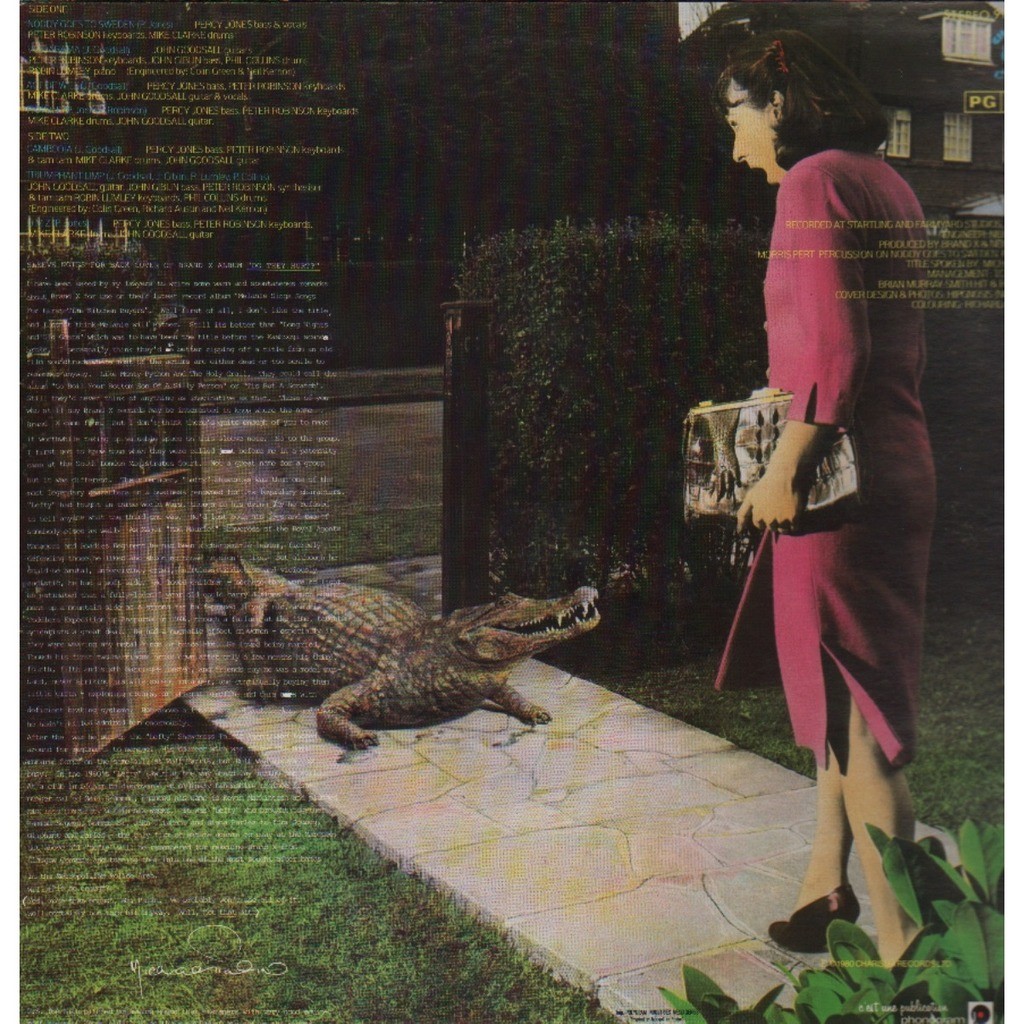 Do they hurt ? by Brand X, LP with grigo Ref117640361