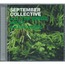 SEPTEMBER COLLECTIVE - all the birds were anarchists - Disque CD