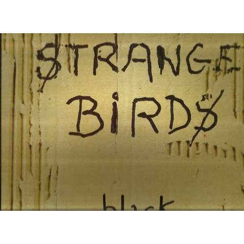 strange birds 