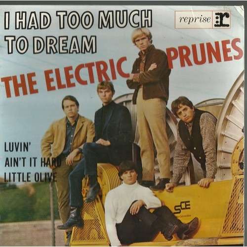  i had too much to dream 