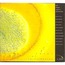 SISMIK NAPKINS ADVENTURES - Tales Of Coincidences - Disque CD