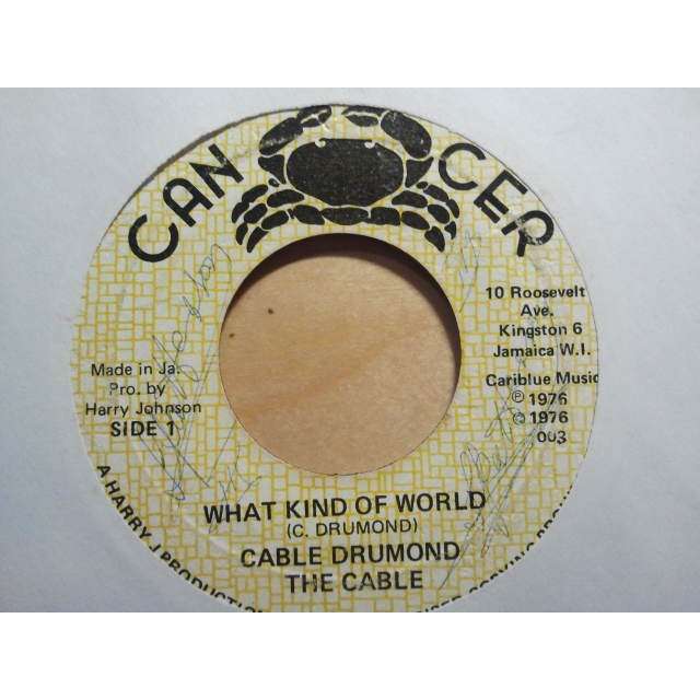 What kind of world / world dub orig by Cable Drummond / The Cables