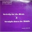DALE SIDNEY - STRICKLY FOR THE BIRDS & STRAIGHT DOWN THE MIDDLE - Disque 33T