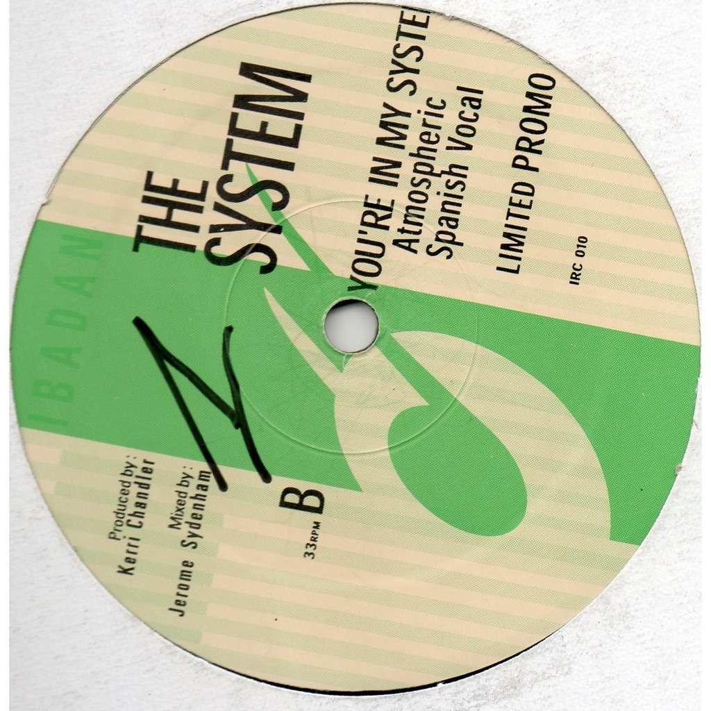 The system - You're in My System
