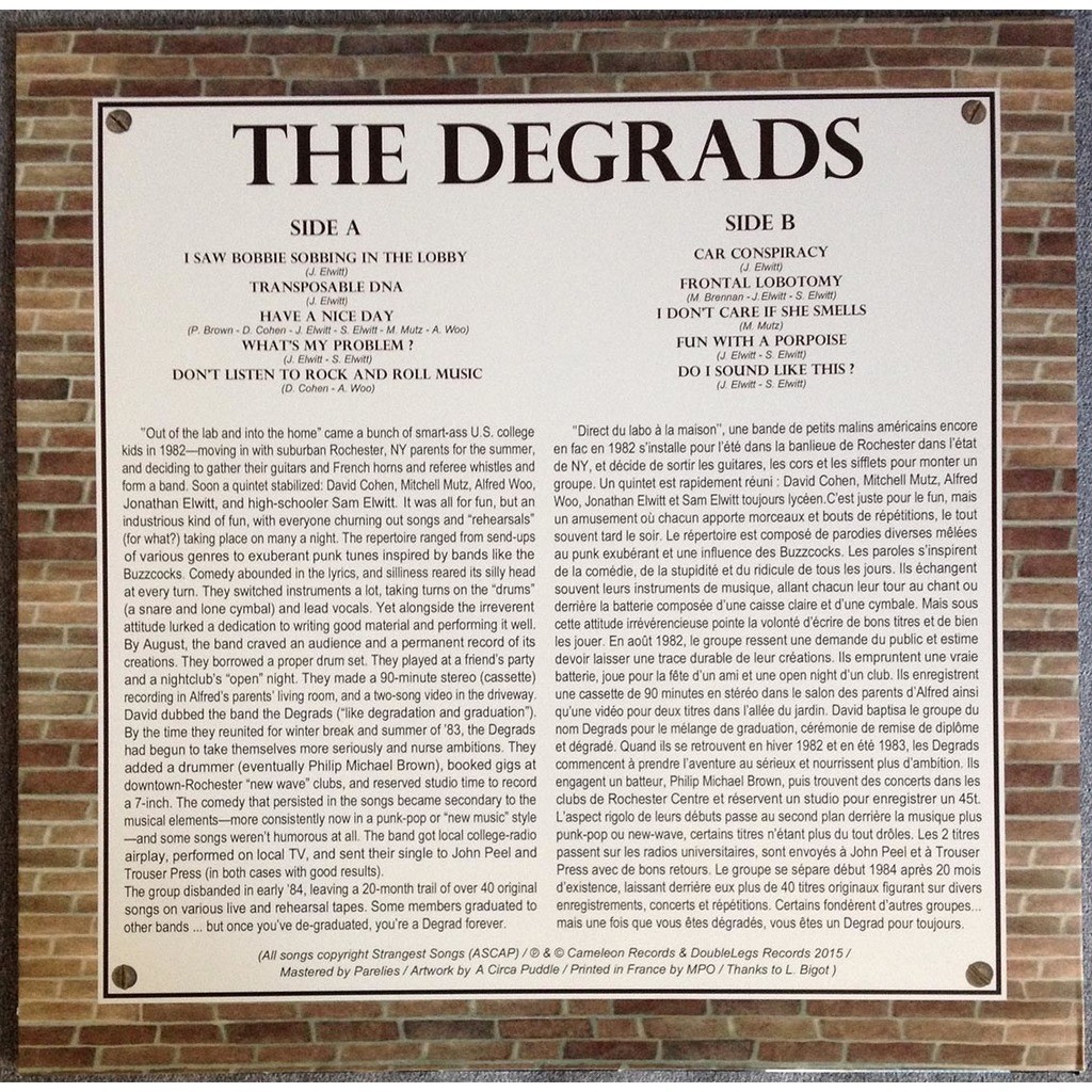  DEGRADS  -  the degrads 
