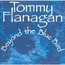 TOMMY FLANAGAN KENNY BURRELL - beyond the bluebird - Disque CD