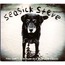 SEASICK STEVE - You Can't Teach An Old Dog New Tricks - Disque CD