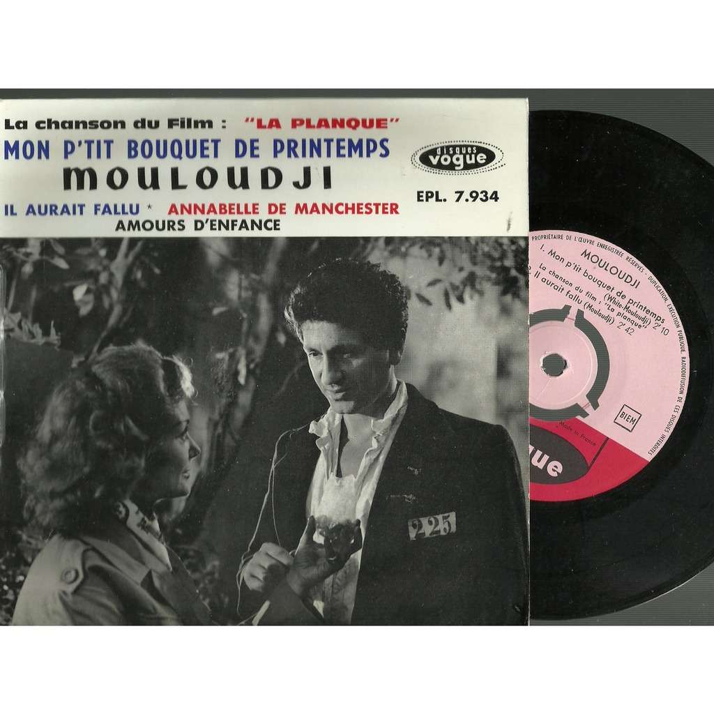  mon p'tit bouquet de printemps 