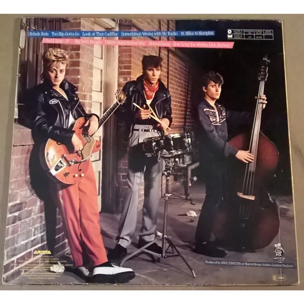 Rant n' rave with the stray cats de Stray Cats, 33T chez captaindiggin ...