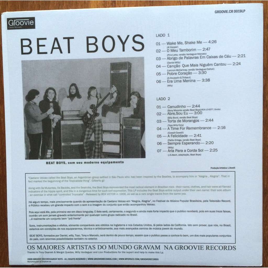  THE BEAT BOYS  -  canudinho wake me, shake me 