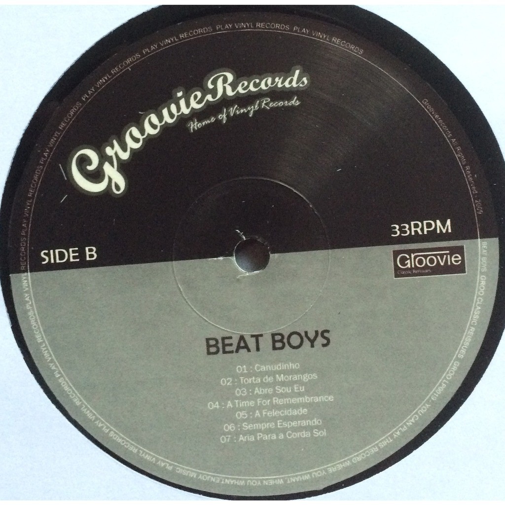  THE BEAT BOYS  -  canudinho wake me, shake me 