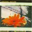 ORIGINAL NATURE - Original Nature - Disque CD Maxi