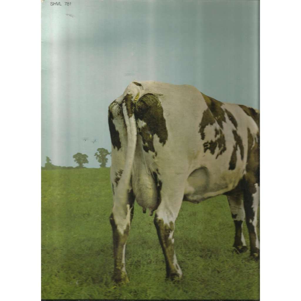  atom heart mother vinyl bleu 