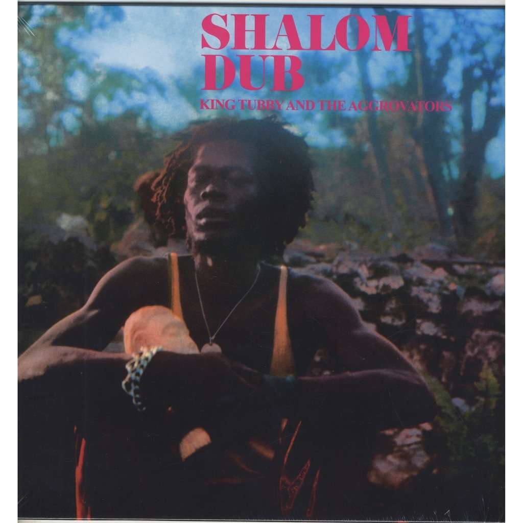 Shalom dub - King Tubby The Aggrovators - ( LP ) - セラー