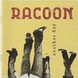 racoon another day