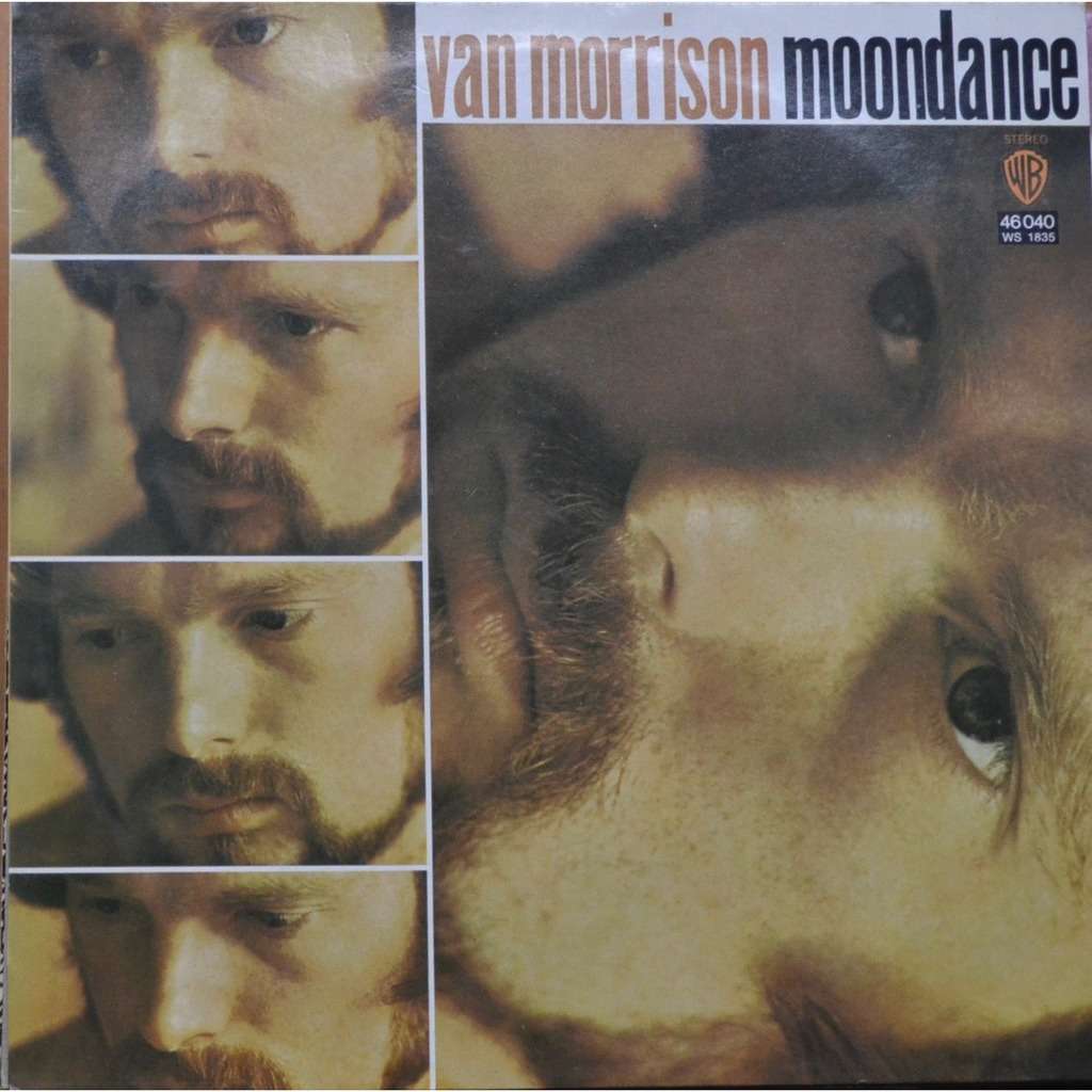 Van Morrison Moondance