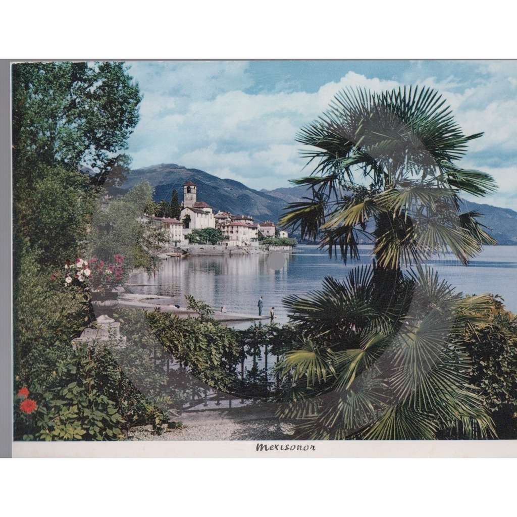 El Canario Mambo Cha Cha By Mexisonor Carte Postale Musicale Postal Card With Fr0237 Ref El Canario Mambo Cha Cha By Mexisonor Carte Postale Musicale Postal Card With Fr0237 Ref