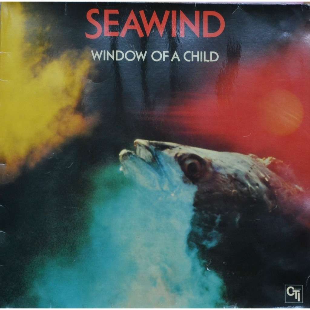 Seawind Window Of A Child