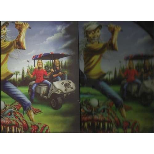  iron maiden  -  the evil in florida picturedisc 
