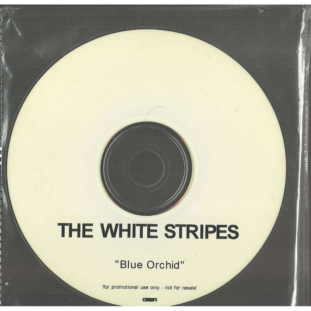  blue orchid promo 