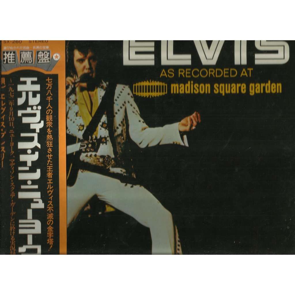  madison square garden 