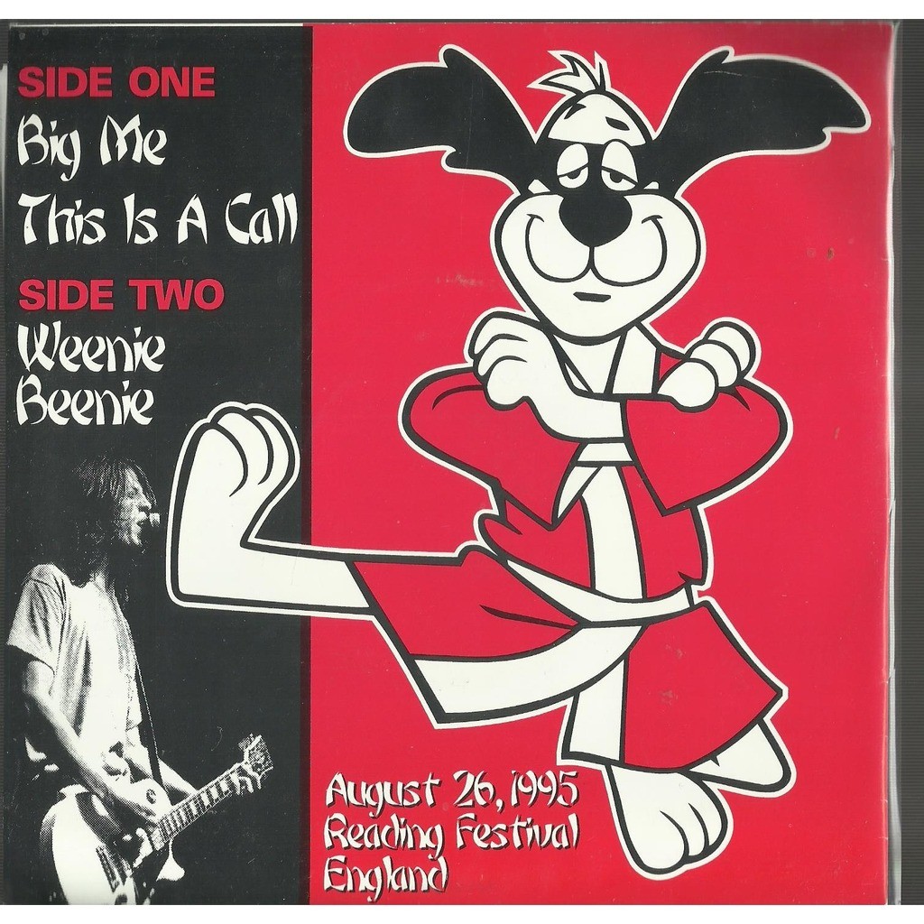  foo fighters  -  reading festival 1995 