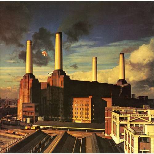 pink floyd animals