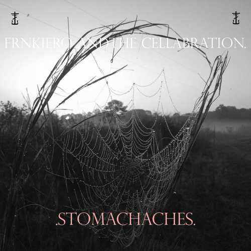  Frnkiero Andthe Cellabration,  -  .stomachaches. -ltd edit opaque grey vinyl 