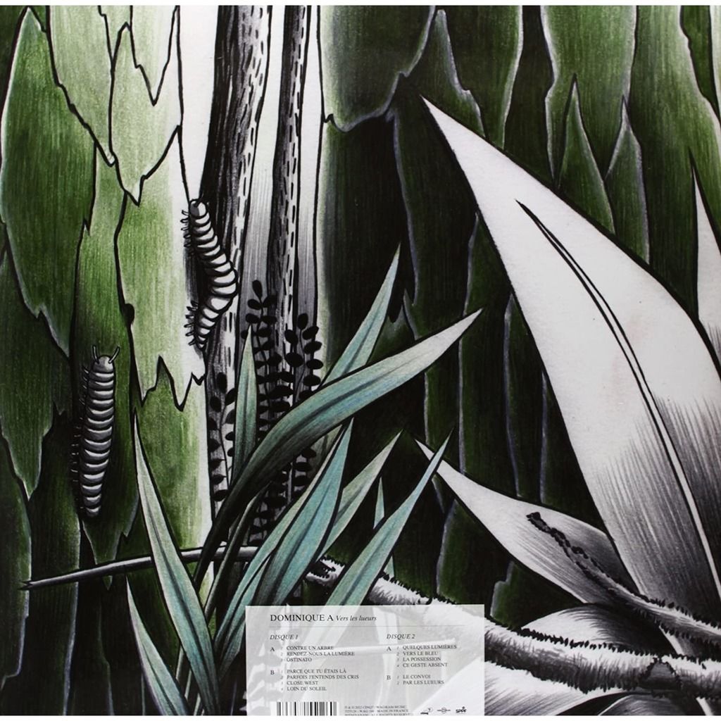  Dominique A  -  vers les lueurs 