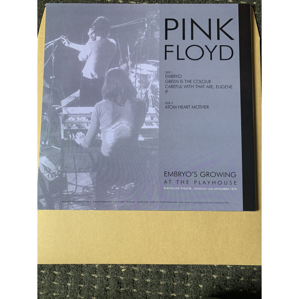 Embryo's growing at the playhouse de Pink Floyd, 33 1/3 RPM con