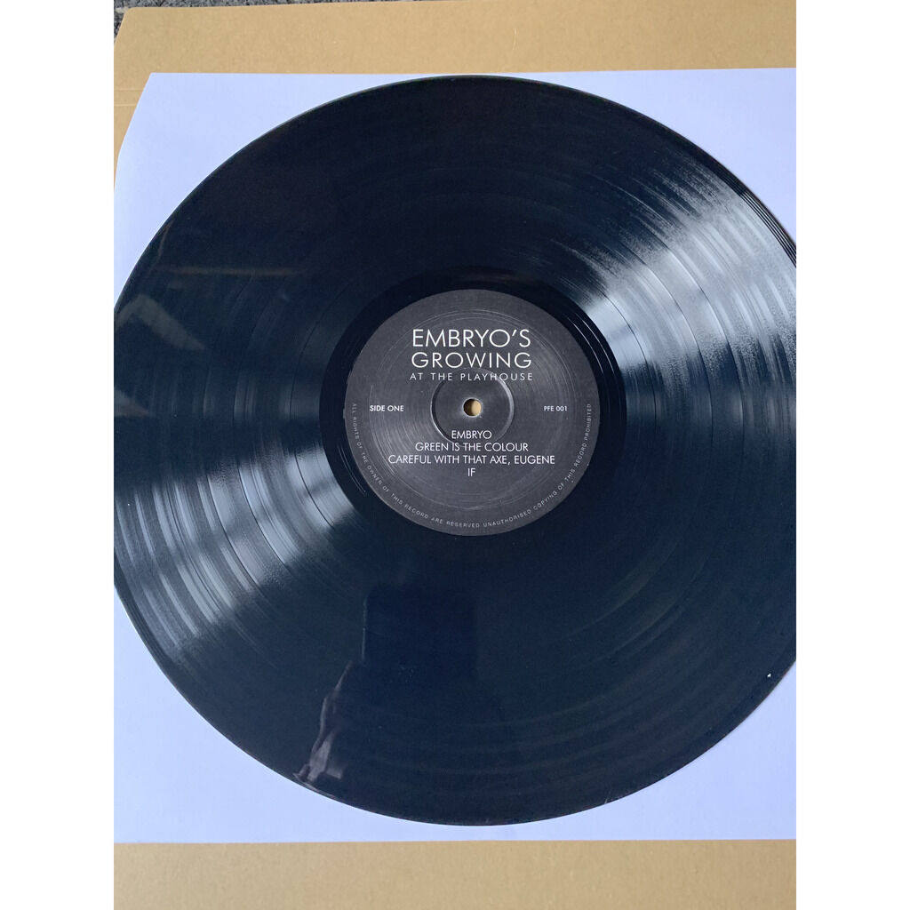 Embryo's growing at the playhouse de Pink Floyd, 33 1/3 RPM con