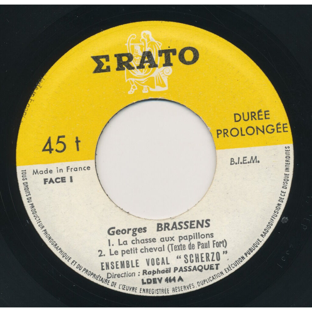 La chasse aux papillons le petit