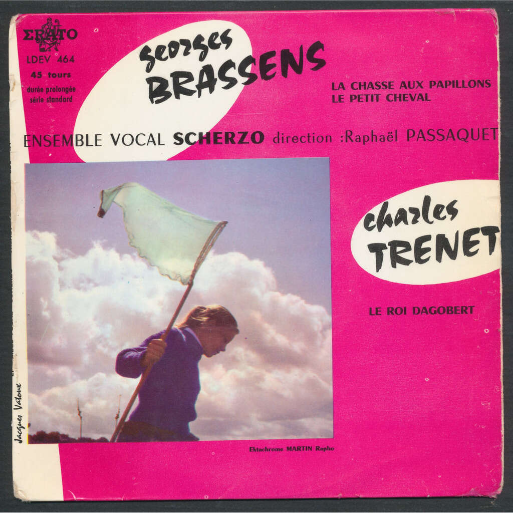 La chasse aux papillons le petit