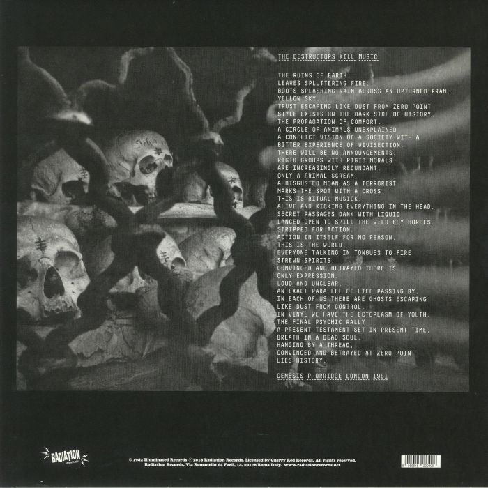  Destructors  -  exercise the demons of youth 