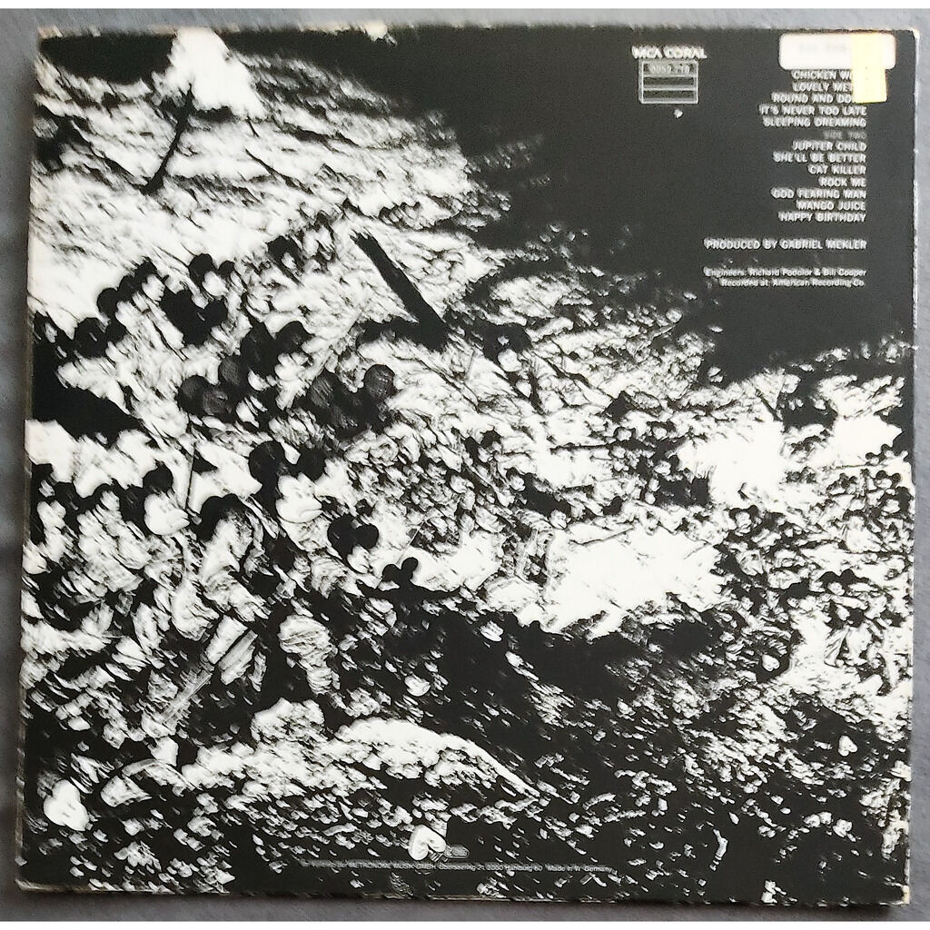  Steppenwolf  -  at your birthday party 