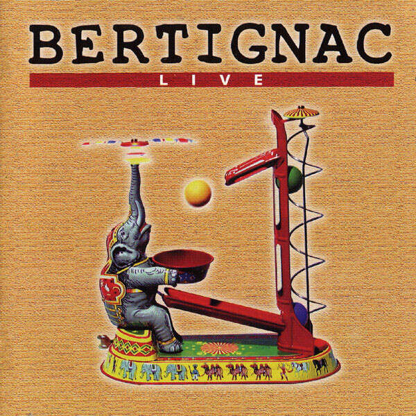 Louis Bertignac Live