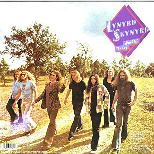 Lynyrd Skynyrd  -  nuthin' fancy 