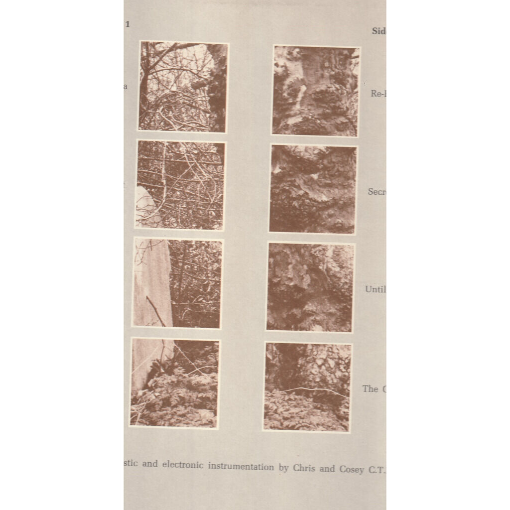  chris and cosey  -  trance 