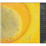THE SISMIK NAPKINS ADVENTURES - Tales Of Coincidences - Disque CD