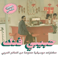 habibi funk part 2 - an eclectic selection of music from the arab world (various)