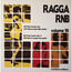 FROM VARIOUS ARTISTS - Ragga RNB Volume 10 (Limited Edition) - 12 inch 33 rpm