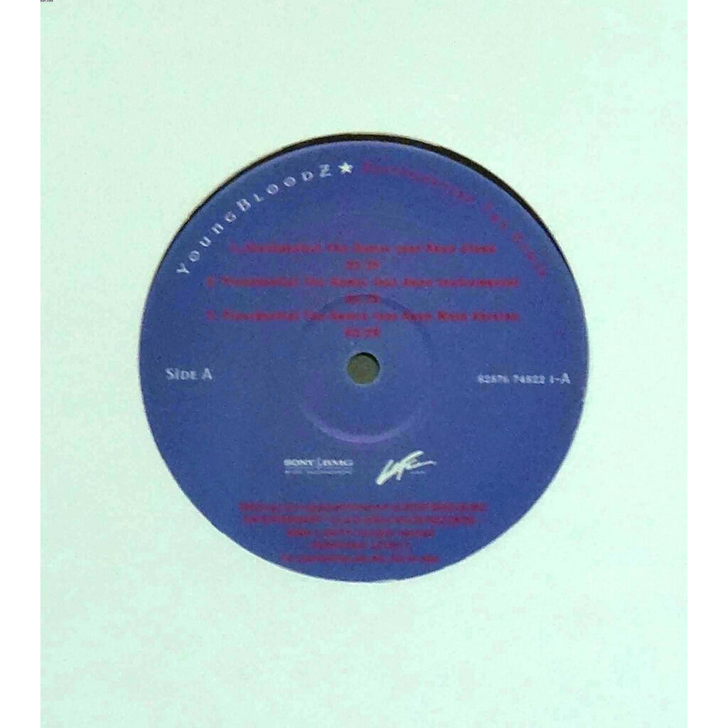  YOUNGBLOODZ  -  presidential (the remix) 